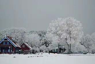 Nida in winter