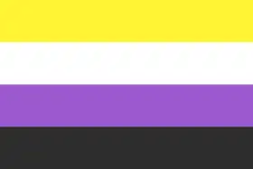Non-binary pride flag, made up of four horizontal stripes, which are, from top to bottom, yellow, white, purple, and black.