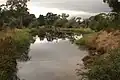 Banksia Street wetland