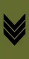 Sersjant (Norwegian Army)[85]