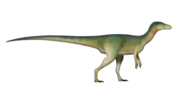 Nyasasaurus