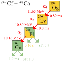 Schematic diagram of oganesson-294 alpha decay, with a half-life of 0.89 ms and a decay energy of 11.65 MeV. The resulting livermorium-290 decays by alpha decay, with a half-life of 10.0 ms and a decay energy of 10.80 MeV, to flerovium-286. Flerovium-286 has a half-life of 0.16 s and a decay energy of 10.16 MeV, and undergoes alpha decay to copernicium-282 with a 0.7 rate of spontaneous fission. Copernicium-282 itself has a half-life of only 1.9 ms and has a 1.0 rate of spontaneous fission.