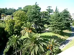 Part of the Vatican Gardens