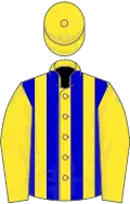 Yellow, blue stripes on body