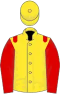 Yellow, red epaulets and sleeves