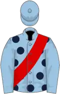 Light blue, dark blue spots on body, red sash