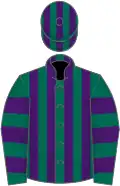 Dark green and purple stripes, hooped sleeves, striped cap