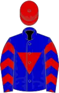 Blue, red inverted triangle and chevrons on sleeves, red cap