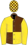 BROWN and YELLOW QUARTERED, yellow sleeves, check cap