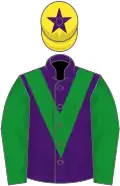 Purple, green chevron and sleeves, yellow cap, purple star