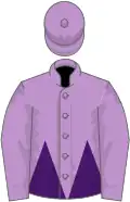 Mauve and purple halved horizontally, mauve sleeves and cap