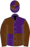 Purple and brown (quartered), brown sleeves, quartered cap