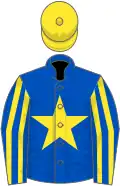 Royal blue, yellow star, striped sleeves, yellow cap