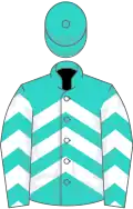Turquoise, white chevrons
