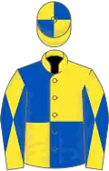 YELLOW and ROYAL BLUE QUARTERED, diabolo on sleeves, quartered cap