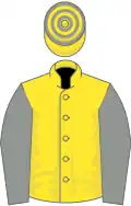 Yellow, Grey sleeves, hooped cap