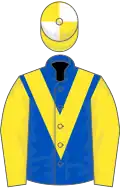 Royal blue, yellow chevron and sleeves, yellow and white quartered cap