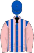 Royal blue and pink stripes, pink sleeves, royal blue cap