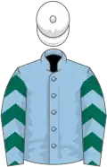 Light blue, dark green chevrons on sleeves, white cap