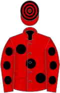 RED, large black spots, black spots on sleeves, hooped cap
