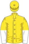 Yellow, white and yellow halved sleeves