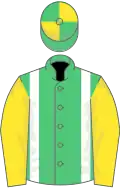 Emerald green, white braces, yellow sleeves, emGreen and yellow quartered cap