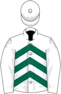 White, dark green chevrons on body