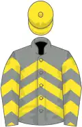 Grey and yellow chevrons, yellow cap