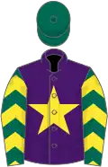 Purple, yellow star, dark green sleeves, yellow chevrons, dark green cap