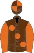 Brown, large Orange spots and sleeves, quartered cap