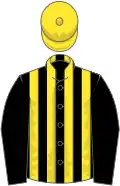 Black and yellow stripes, black sleeves, yellow cap