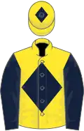 Yellow, dark blue diamond, sleeves and diamond on cap