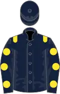 Dark blue, yellow epaulettes, yellow spots on sleeves, dark blue cap