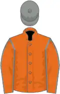 Orange, grey seams on sleeves, grey cap