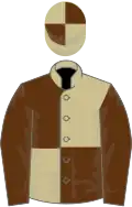 Beige and brown (quartered), brown sleeves