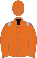 Orange, Light Blue epaulets