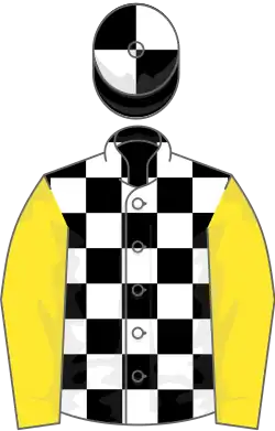 Black and white check, yellow sleeves, black and white quartered cap