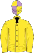 Yellow, Yellow and Purple quartered cap