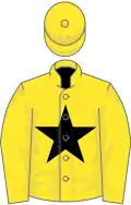 Yellow, black star, yellow sleeves and cap