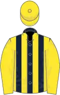 Dark blue and yellow stripes, yellow sleeves and cap