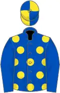 Royal blue, yellow spots, blue sleeves, quartered cap