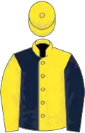 Yellow and dark blue (halved), reversed sleeves, yellow cap