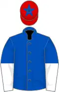 Royal blue, white halved sleeves, red cap, royal blue star