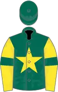 Dark green, yellow star, yellow sleeves, dark green armlets, dark green cap