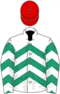 White and emerald green chevrons, red cap