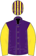 Purple, yellow sleeves, purple and yellow striped cap