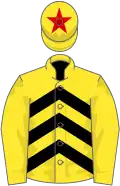 Yellow and black chevrons, yellow sleeves, yellow cap, red star