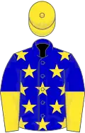Blue, yellow stars, halved sleeves, yellow cap