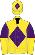 Yellow, Purple diamond, Purple and Yellow halved sleeves, Yellow cap, Purple diamond