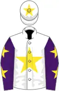 White, Yellow star, Purple sleeves, Yellow stars, White cap, Yellow star